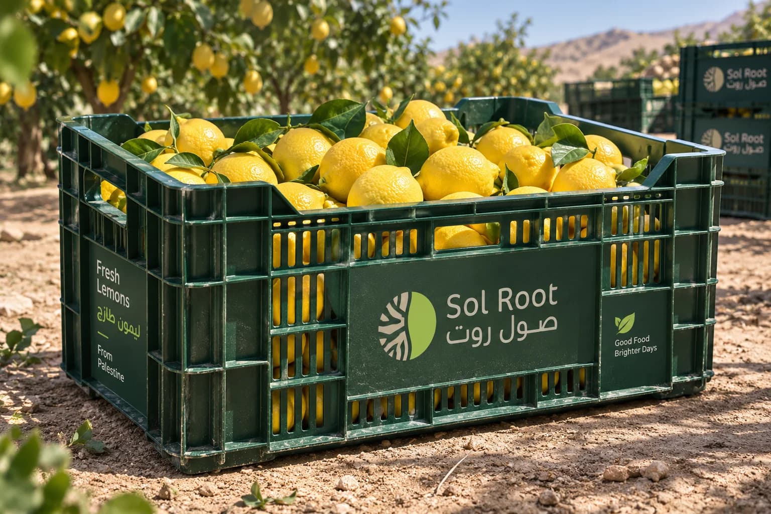 A crate of lemons in the orchard