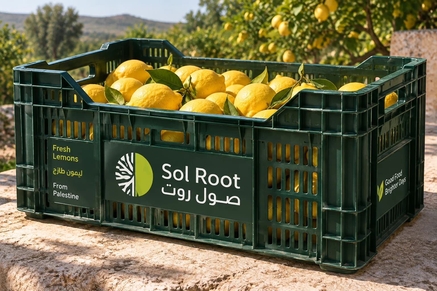 Lemon, as packed by Sol Root